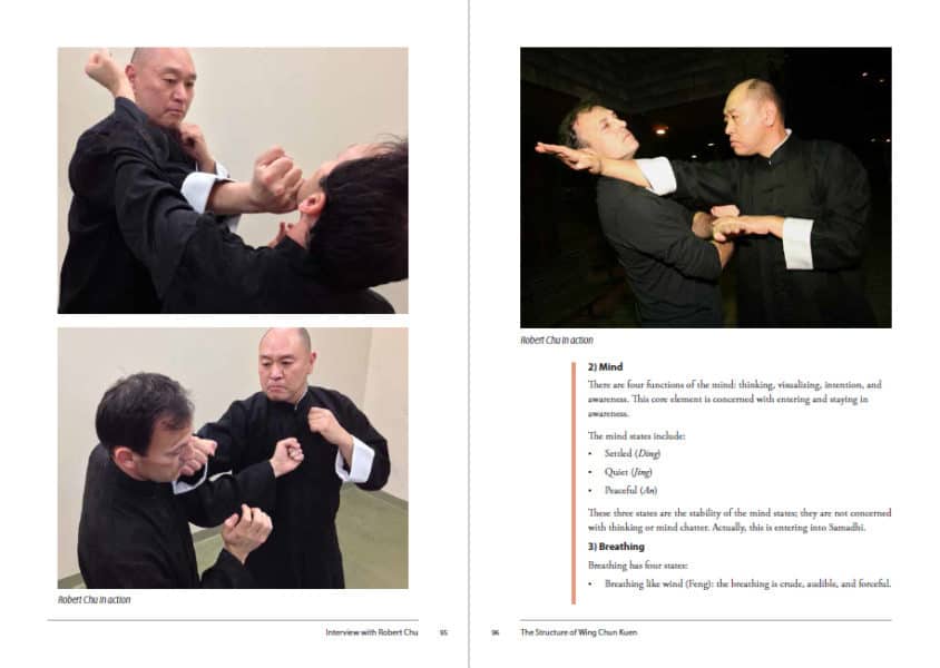 Mastering Wing Chun's Power Structure