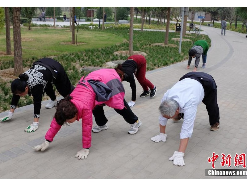 Chinese Animal Exercise Trends
