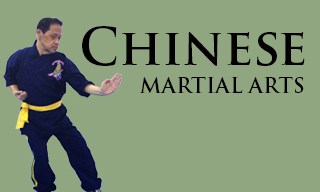 Chinese Martial Arts Tambuli media