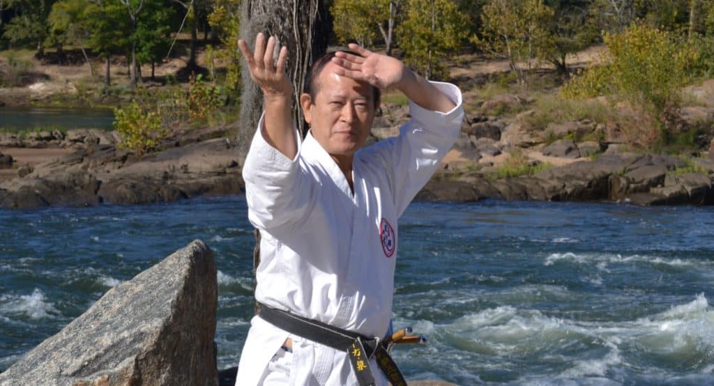 The Three Minds of Karate