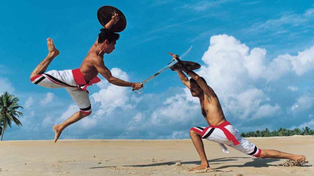 two men practicing The Warrior's Path to Whole Health