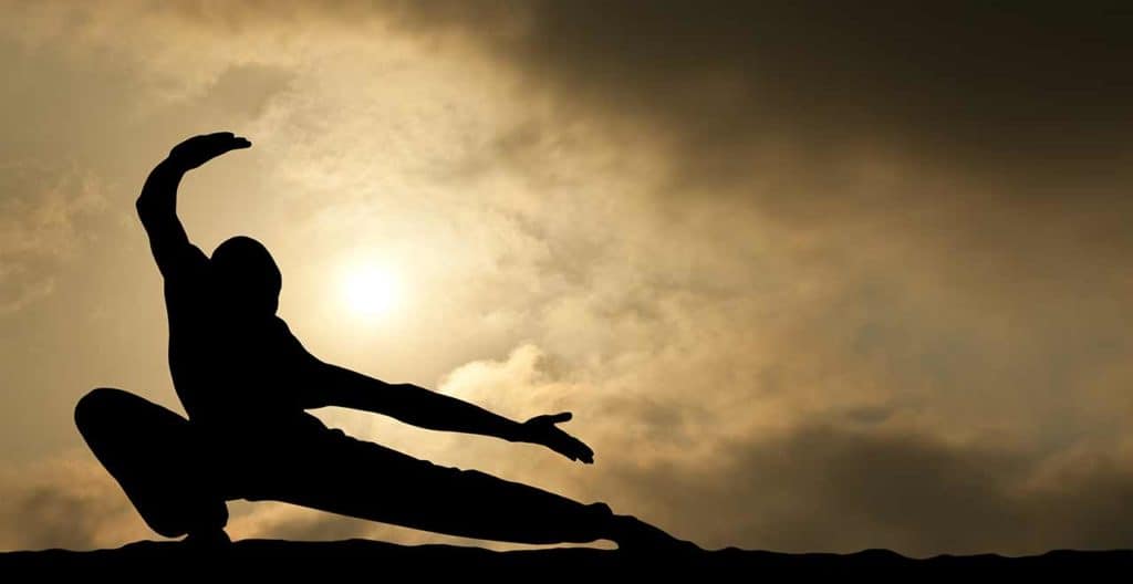 The Warrior's Path to Whole Health
