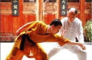 Fujian Taizu Wuzu Kung-fu