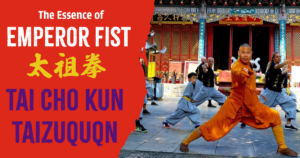 Grand Ancestor Fist Taizuquan book