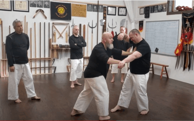 Timing in Traditional Martial Arts