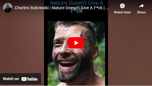 Charles Bukowski | Nature Doesn’t Give A F*ck | Wisdom Shares