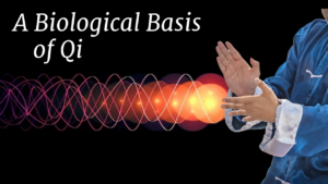 Biological basis of qi Robert Chuckrow